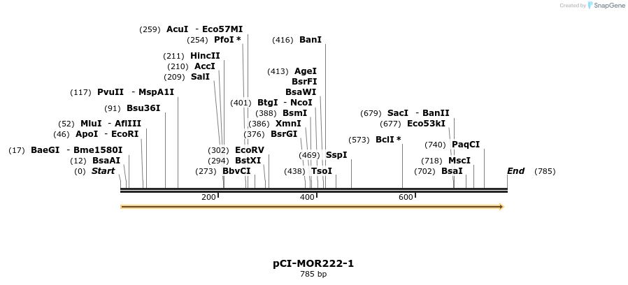 28196_map