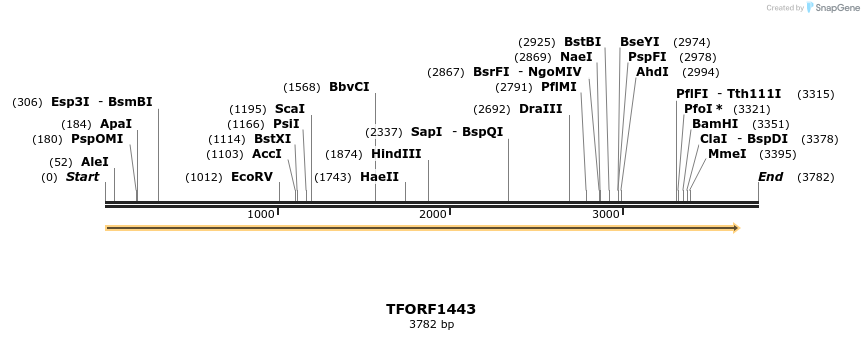 281963_map