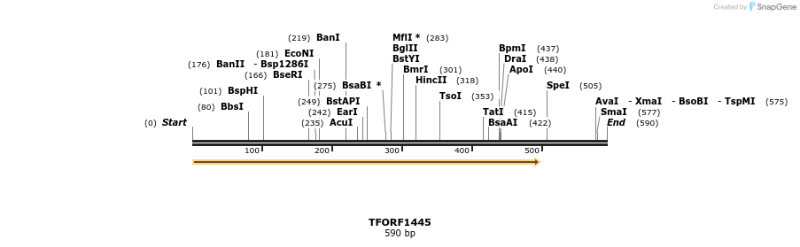 281966_map
