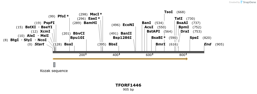 281969_map