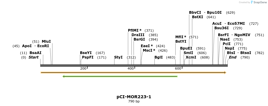 28197_map