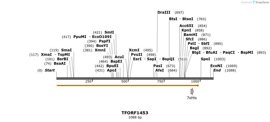 281975_map