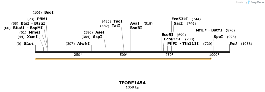 281978_map