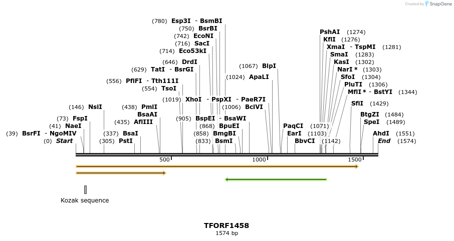 281981_map