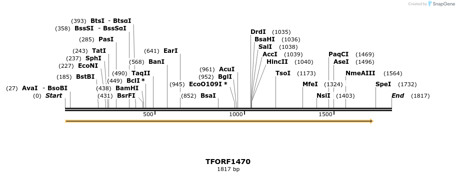 281984_map