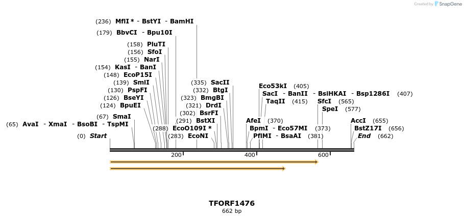 281987_map