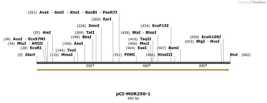 28199_map