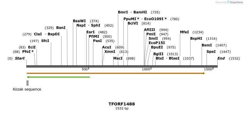 281990_map
