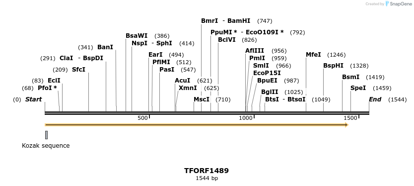 281993_map