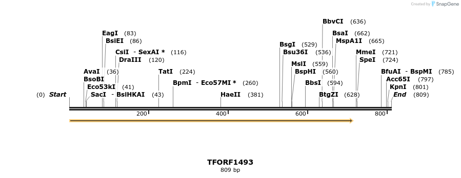 281996_map