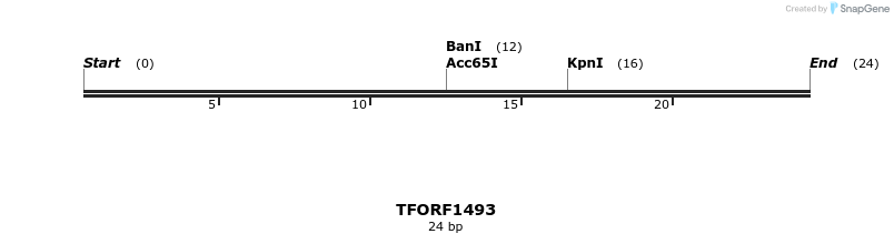 281997_map