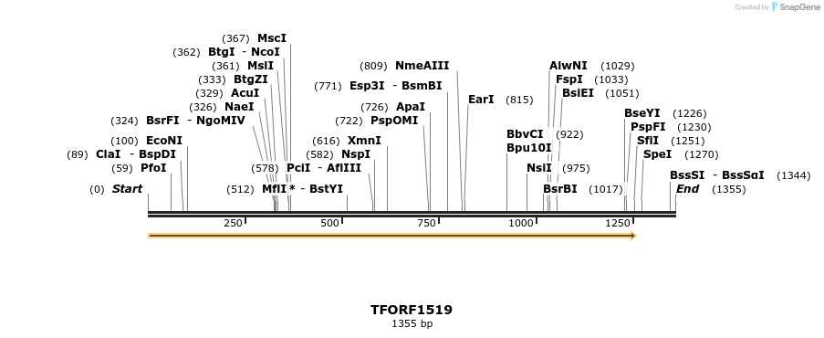 281999_map