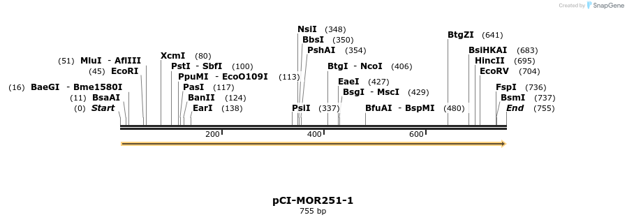 28200_map