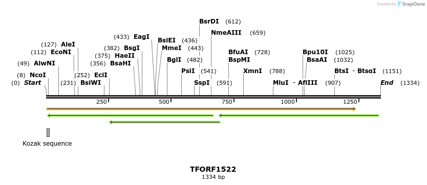 282002_map