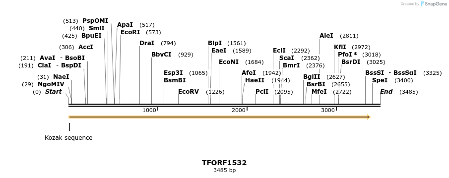 282005_map