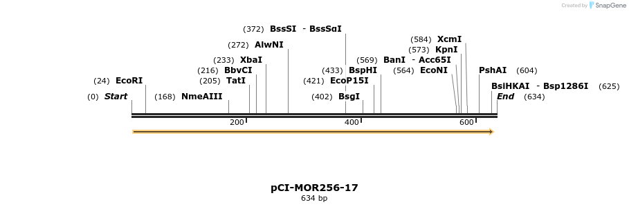 28202_map