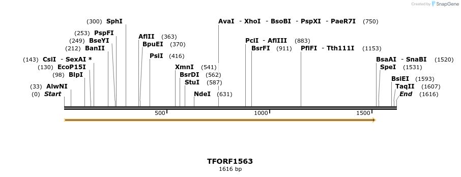 282023_map