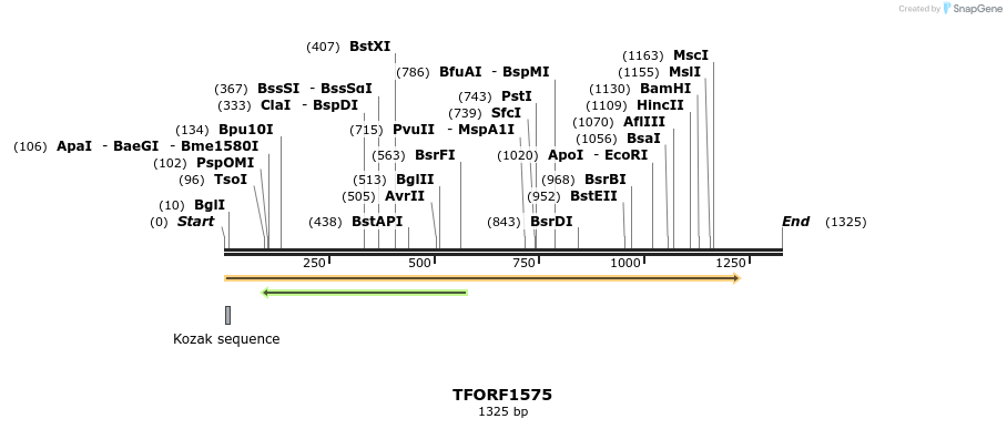 282026_map