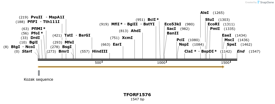282029_map