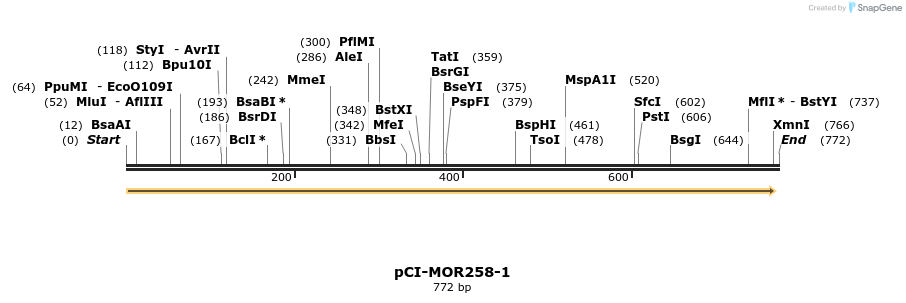 28203_map