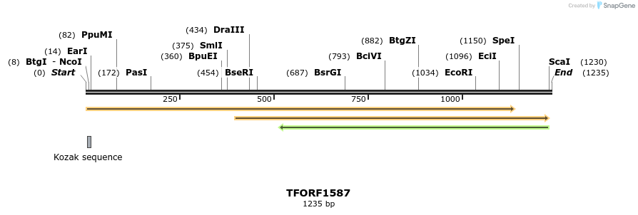 282032_map