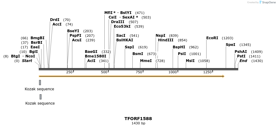 282035_map