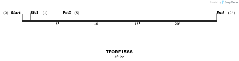 282036_map