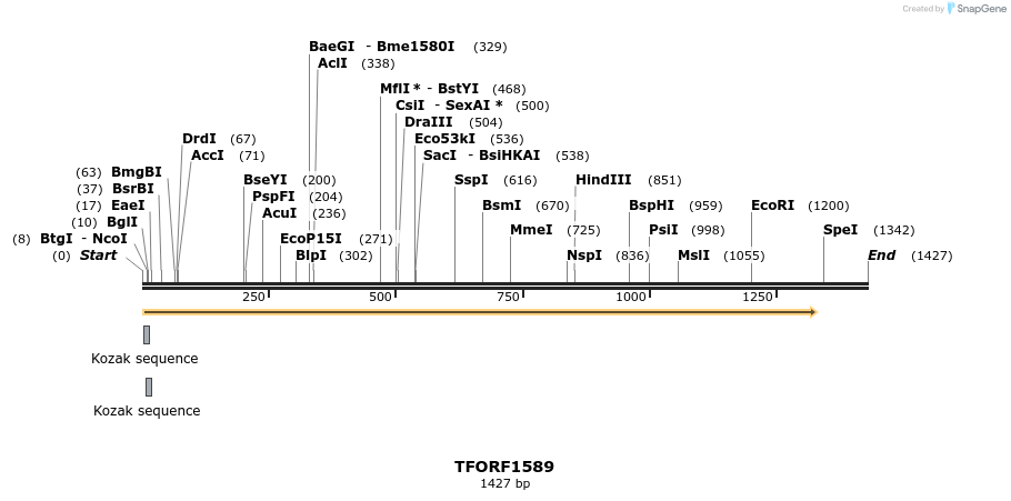 282038_map