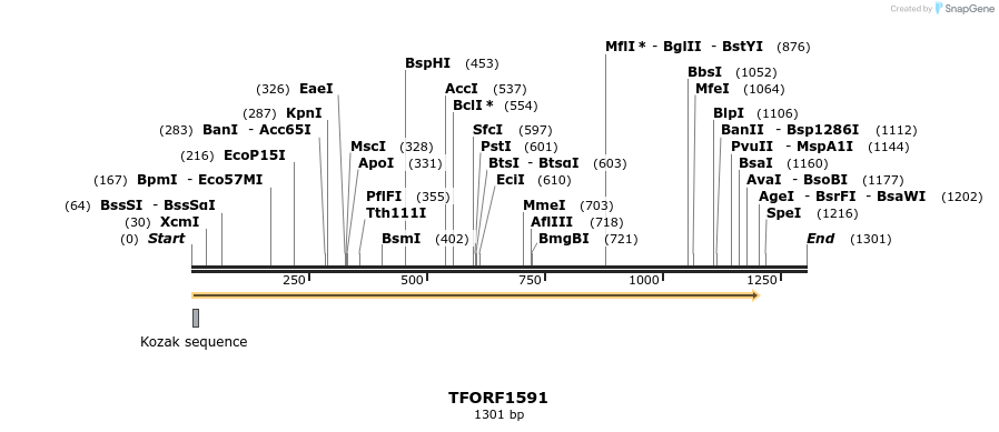 282041_map
