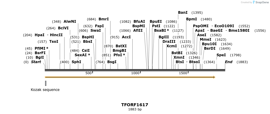 282044_map