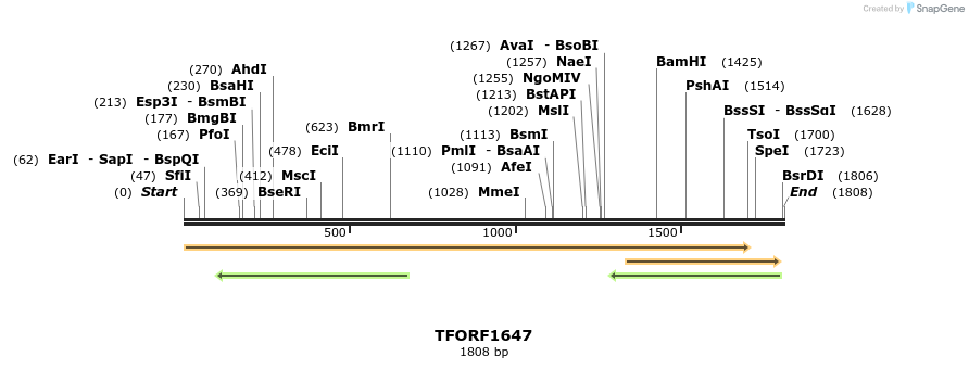 282047_map