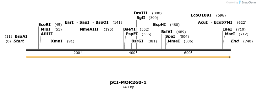 28205_map