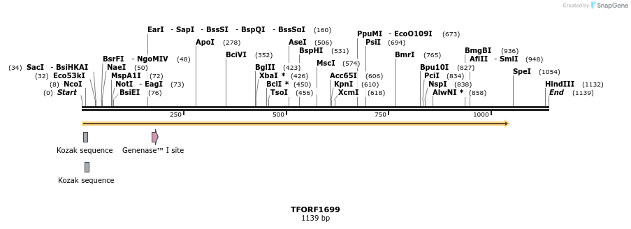 282056_map