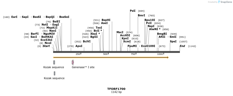 282059_map