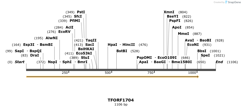 282062_map