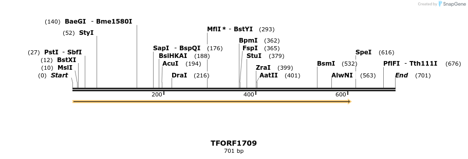 282065_map