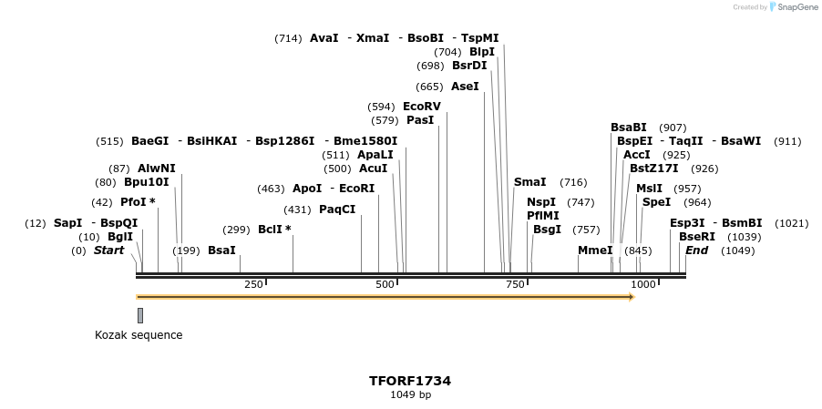 282068_map