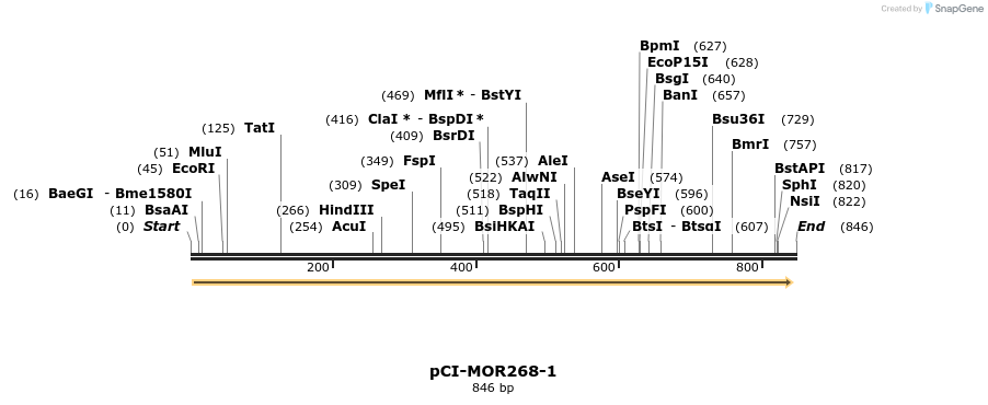 28207_map