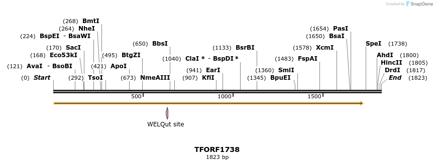 282071_map