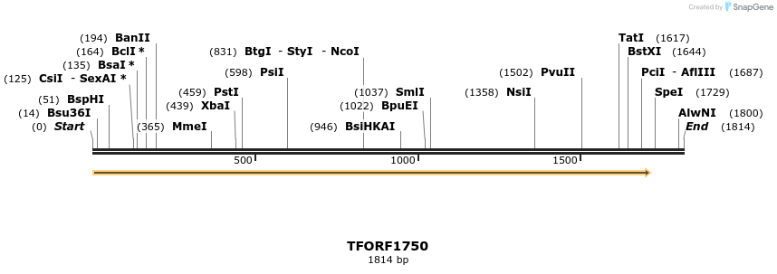 282074_map