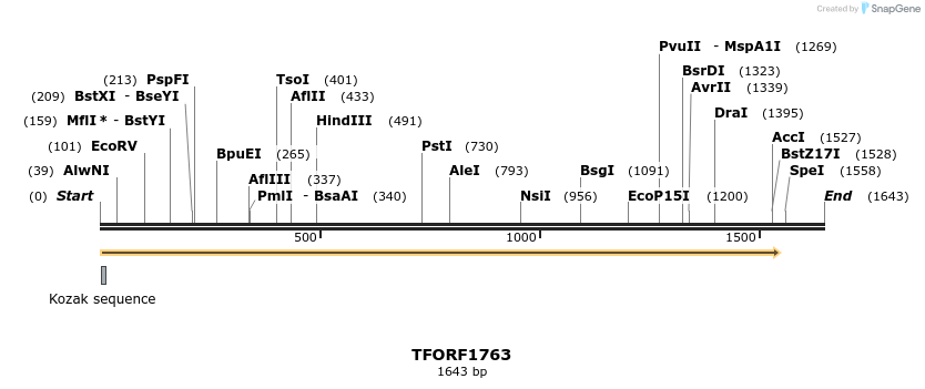 282077_map