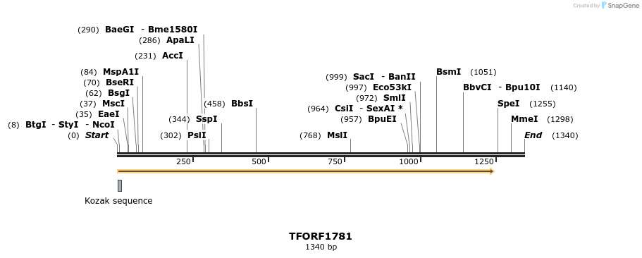 282080_map