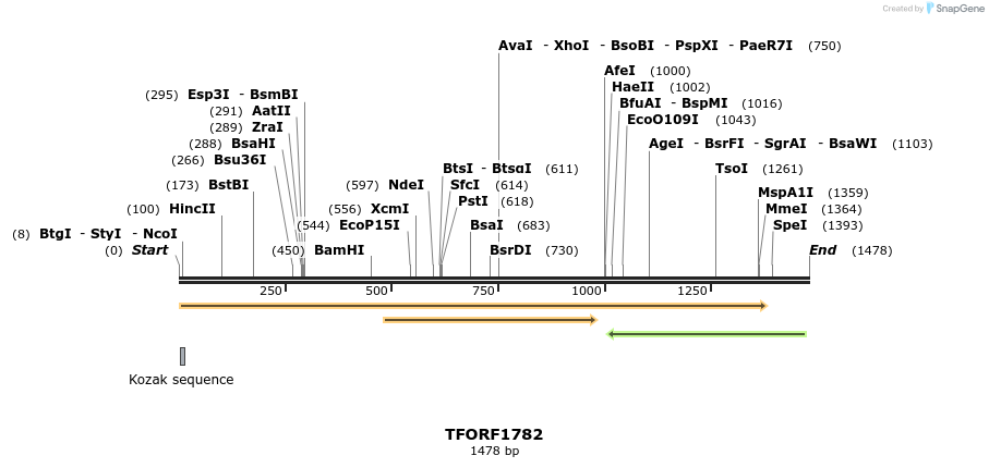 282083_map