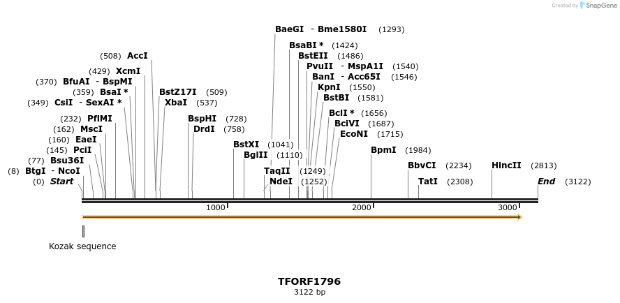 282086_map