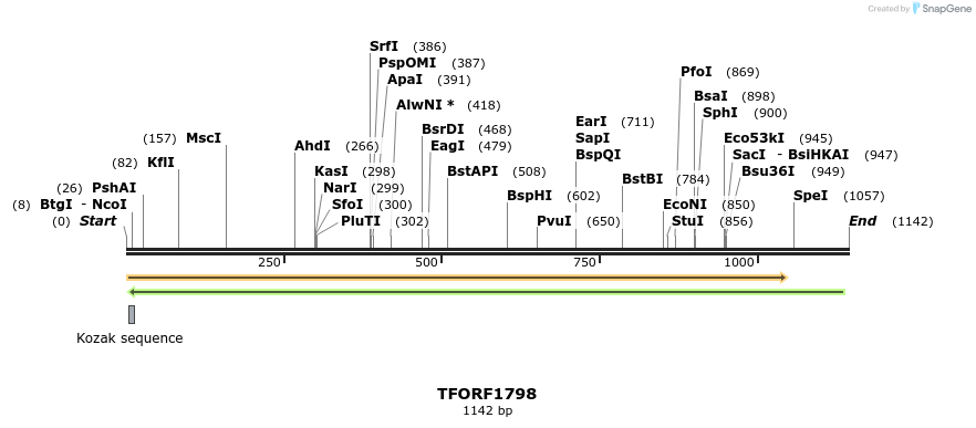 282089_map