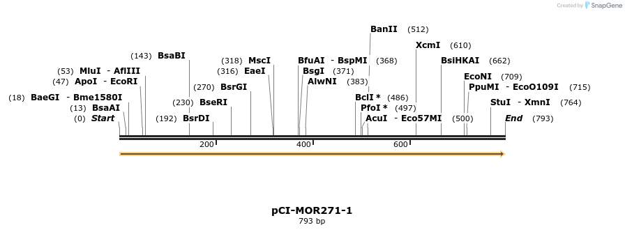 28209_map