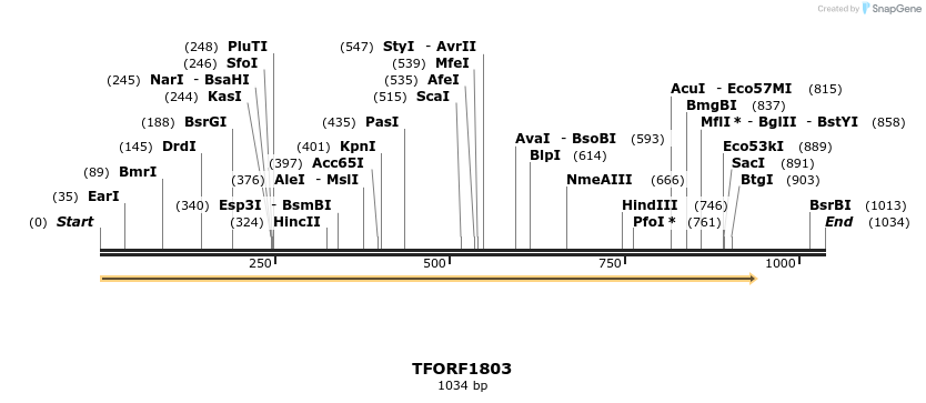 282092_map