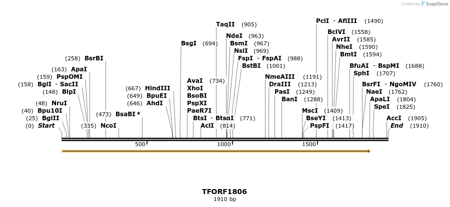 282095_map