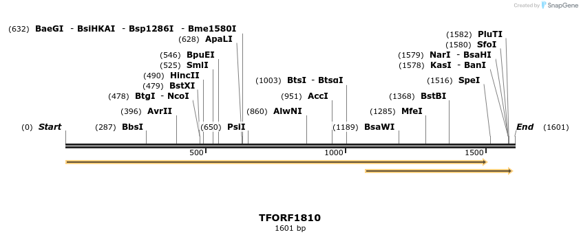 282098_map