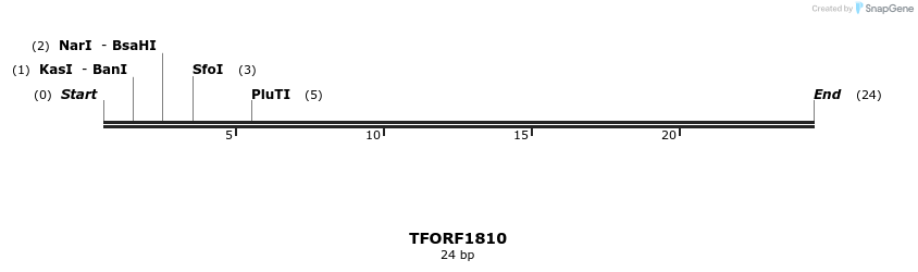 282099_map